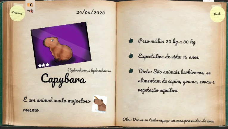 Captura de tela do Flowtography